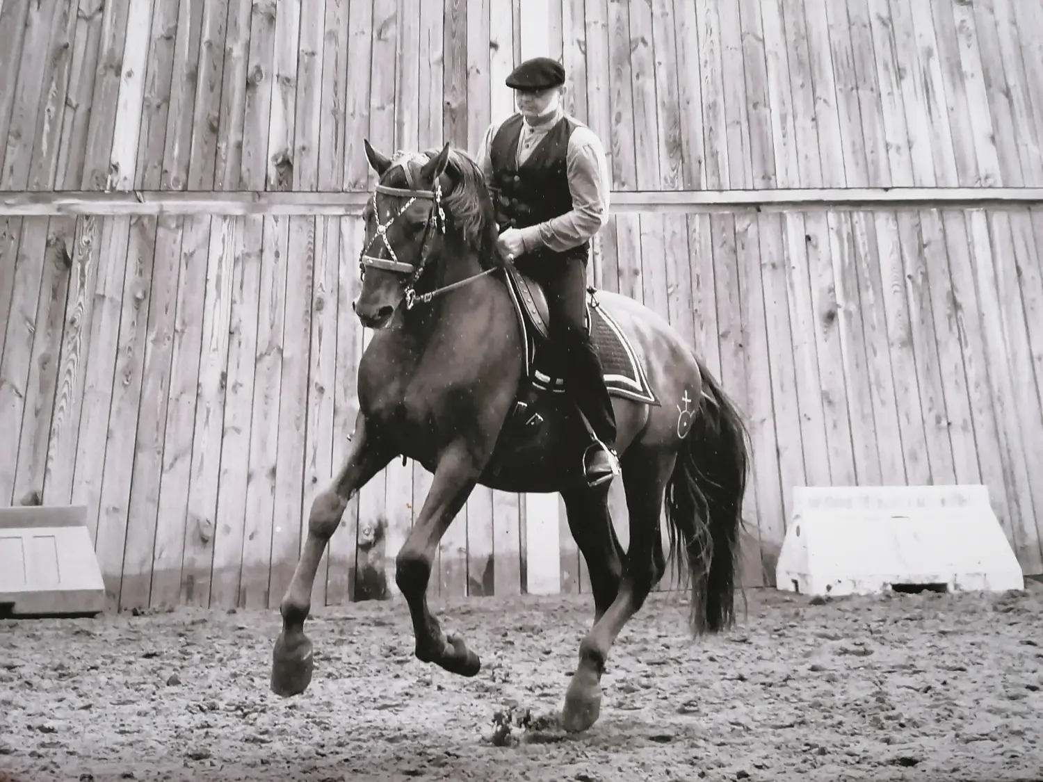 Gut Steinhausen - Reiten