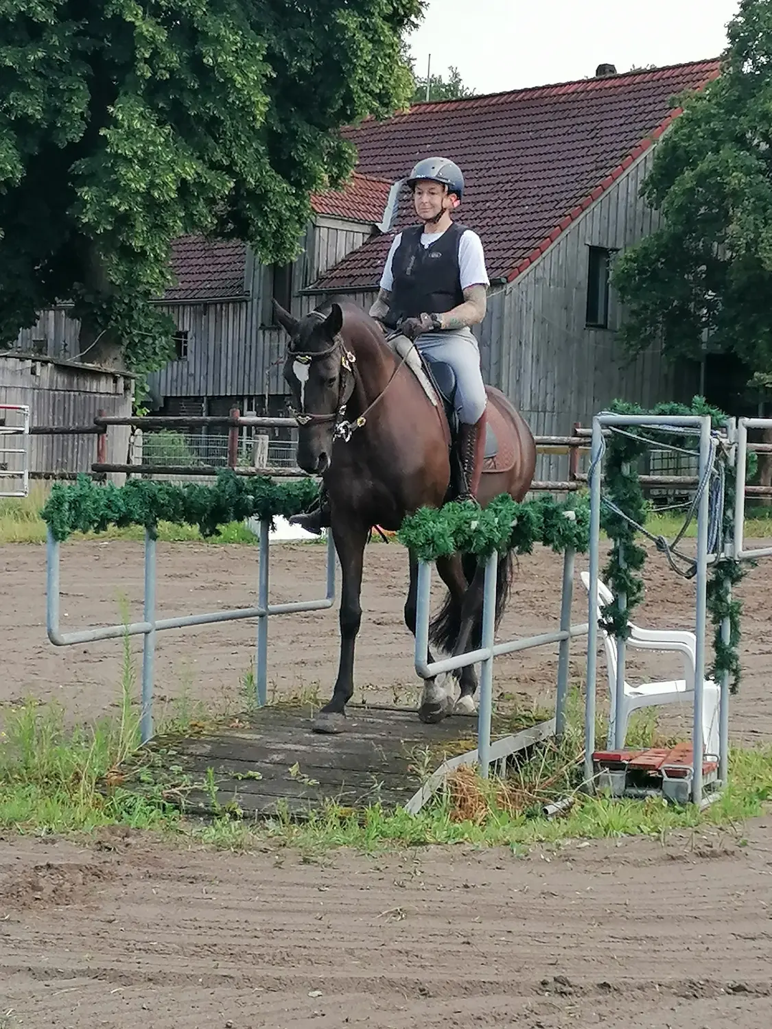 Gut Steinhausen - Reiten