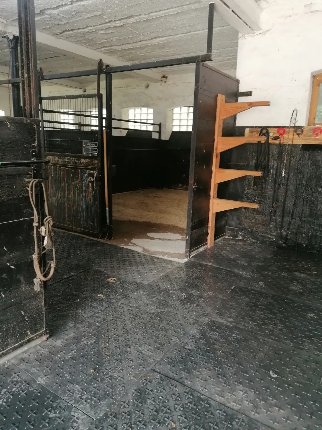 Gut Steinhausen - Ställe